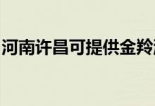 河南許昌可提供金羚洗衣機(jī)維修服務(wù)地址在哪