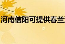 河南信陽可提供春蘭洗衣機(jī)維修服務(wù)地址在哪