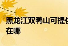 黑龍江雙鴨山可提供小鴨洗衣機(jī)維修服務(wù)地址在哪