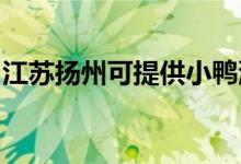 江蘇揚(yáng)州可提供小鴨洗衣機(jī)維修服務(wù)地址在哪