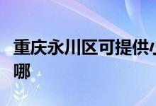 重慶永川區(qū)可提供小鴨洗衣機(jī)維修服務(wù)地址在哪