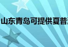 山東青島可提供夏普洗衣機(jī)維修服務(wù)地址在哪