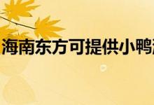 海南東方可提供小鴨洗衣機(jī)維修服務(wù)地址在哪