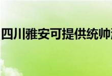 四川雅安可提供統(tǒng)帥洗衣機(jī)維修服務(wù)地址在哪