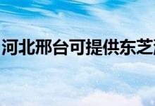 河北邢臺可提供東芝洗衣機維修服務(wù)地址在哪