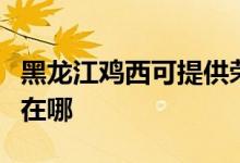 黑龍江雞西可提供榮事達(dá)洗衣機維修服務(wù)地址在哪