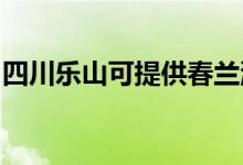 四川樂山可提供春蘭洗衣機(jī)維修服務(wù)地址在哪