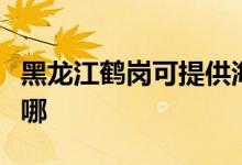 黑龍江鶴崗可提供海爾壁掛爐維修服務(wù)地址在哪