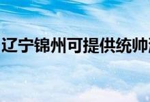 遼寧錦州可提供統(tǒng)帥洗衣機(jī)維修服務(wù)地址在哪
