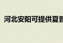 河北安陽可提供夏普冰箱維修服務地址在哪