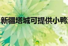 新疆塔城可提供小鴨洗衣機(jī)維修服務(wù)地址在哪