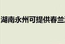 湖南永州可提供春蘭洗衣機(jī)維修服務(wù)地址在哪