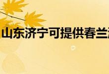 山東濟(jì)寧可提供春蘭洗衣機(jī)維修服務(wù)地址在哪