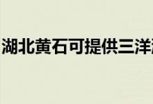 湖北黃石可提供三洋洗衣機(jī)維修服務(wù)地址在哪