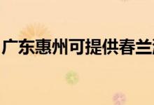 廣東惠州可提供春蘭洗衣機(jī)維修服務(wù)地址在哪