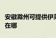 安徽滁州可提供伊萊克斯洗衣機(jī)維修服務(wù)地址在哪