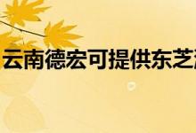 云南德宏可提供東芝洗衣機維修服務(wù)地址在哪