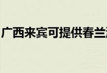 廣西來賓可提供春蘭洗衣機(jī)維修服務(wù)地址在哪
