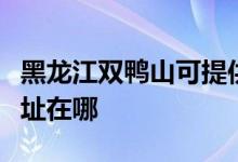 黑龍江雙鴨山可提供澳柯瑪洗衣機(jī)維修服務(wù)地址在哪