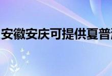 安徽安慶可提供夏普洗衣機(jī)維修服務(wù)地址在哪