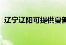 遼寧遼陽可提供夏普冰箱維修服務地址在哪