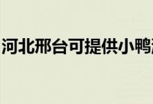 河北邢臺(tái)可提供小鴨洗衣機(jī)維修服務(wù)地址在哪