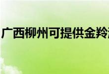 廣西柳州可提供金羚洗衣機(jī)維修服務(wù)地址在哪