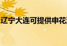 遼寧大連可提供申花洗衣機(jī)維修服務(wù)地址在哪