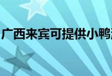 廣西來(lái)賓可提供小鴨洗衣機(jī)維修服務(wù)地址在哪