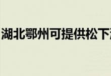湖北鄂州可提供松下洗衣機維修服務(wù)地址在哪