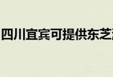 四川宜賓可提供東芝洗衣機維修服務(wù)地址在哪