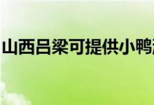 山西呂梁可提供小鴨洗衣機(jī)維修服務(wù)地址在哪