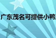 廣東茂名可提供小鴨洗衣機(jī)維修服務(wù)地址在哪