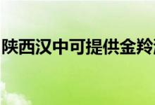 陜西漢中可提供金羚洗衣機(jī)維修服務(wù)地址在哪