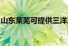 山東萊蕪可提供三洋洗衣機(jī)維修服務(wù)地址在哪