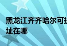 黑龍江齊齊哈爾可提供松下洗衣機維修服務(wù)地址在哪