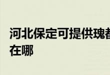 河北保定可提供瑰都啦咪壁掛爐維修服務(wù)地址在哪