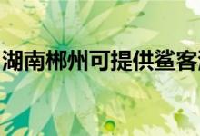 湖南郴州可提供鯊客清潔機維修服務地址在哪