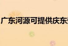 廣東河源可提供慶東壁掛爐維修服務(wù)地址在哪