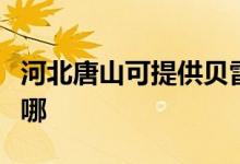河北唐山可提供貝雷塔壁掛爐維修服務地址在哪