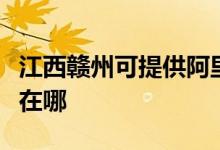江西贛州可提供阿里斯頓壁掛爐維修服務(wù)地址在哪