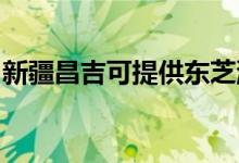 新疆昌吉可提供東芝洗碗機維修服務地址在哪