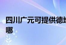四川廣元可提供德地氏壁掛爐維修服務(wù)地址在哪
