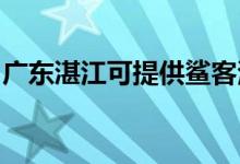 廣東湛江可提供鯊客清潔機維修服務地址在哪