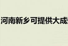 河南新鄉(xiāng)可提供大成壁掛爐維修服務(wù)地址在哪