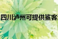 四川瀘州可提供鯊客清潔機維修服務地址在哪