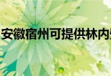 安徽宿州可提供林內(nèi)壁掛爐維修服務(wù)地址在哪