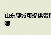 山東聊城可提供帝博仕壁掛爐維修服務(wù)地址在哪
