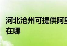河北滄州可提供阿里斯頓壁掛爐維修服務(wù)地址在哪