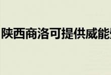 陜西商洛可提供威能壁掛爐維修服務(wù)地址在哪
